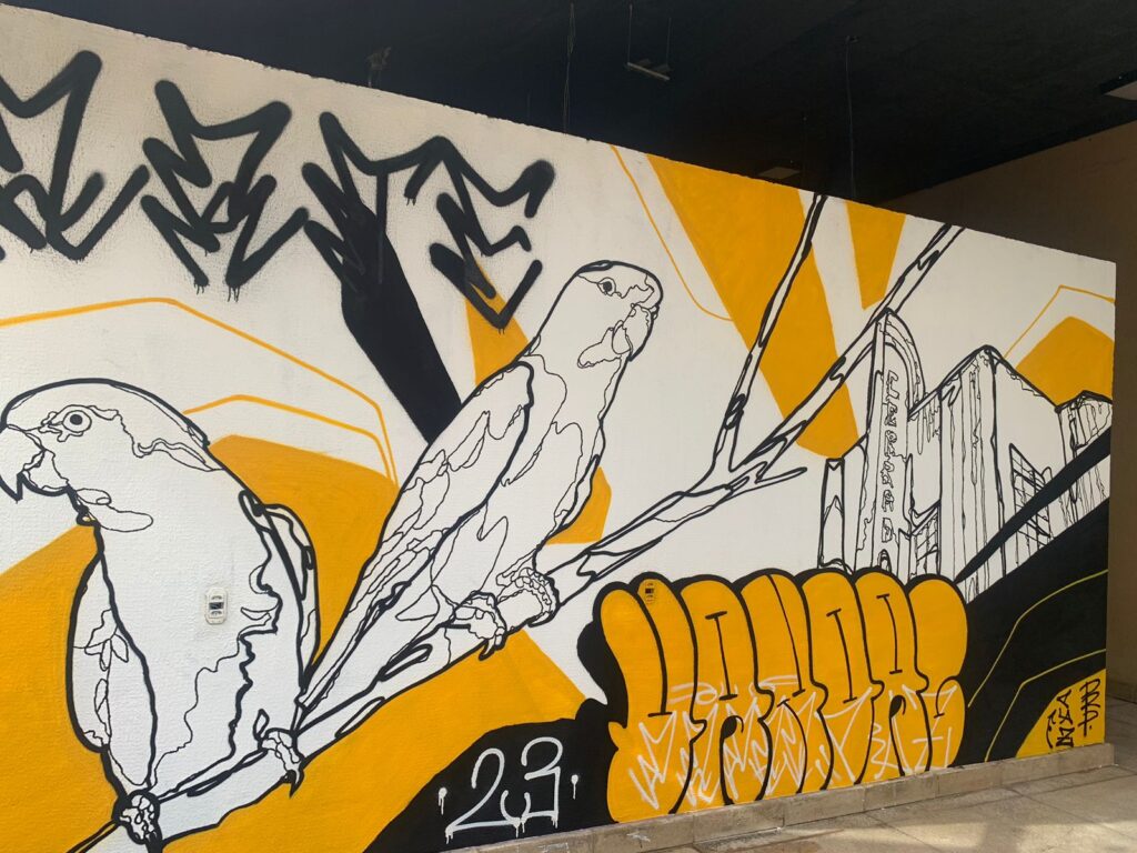 IMG-20230827-WA0101