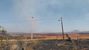 IMG-20250902-WA0149.jpg